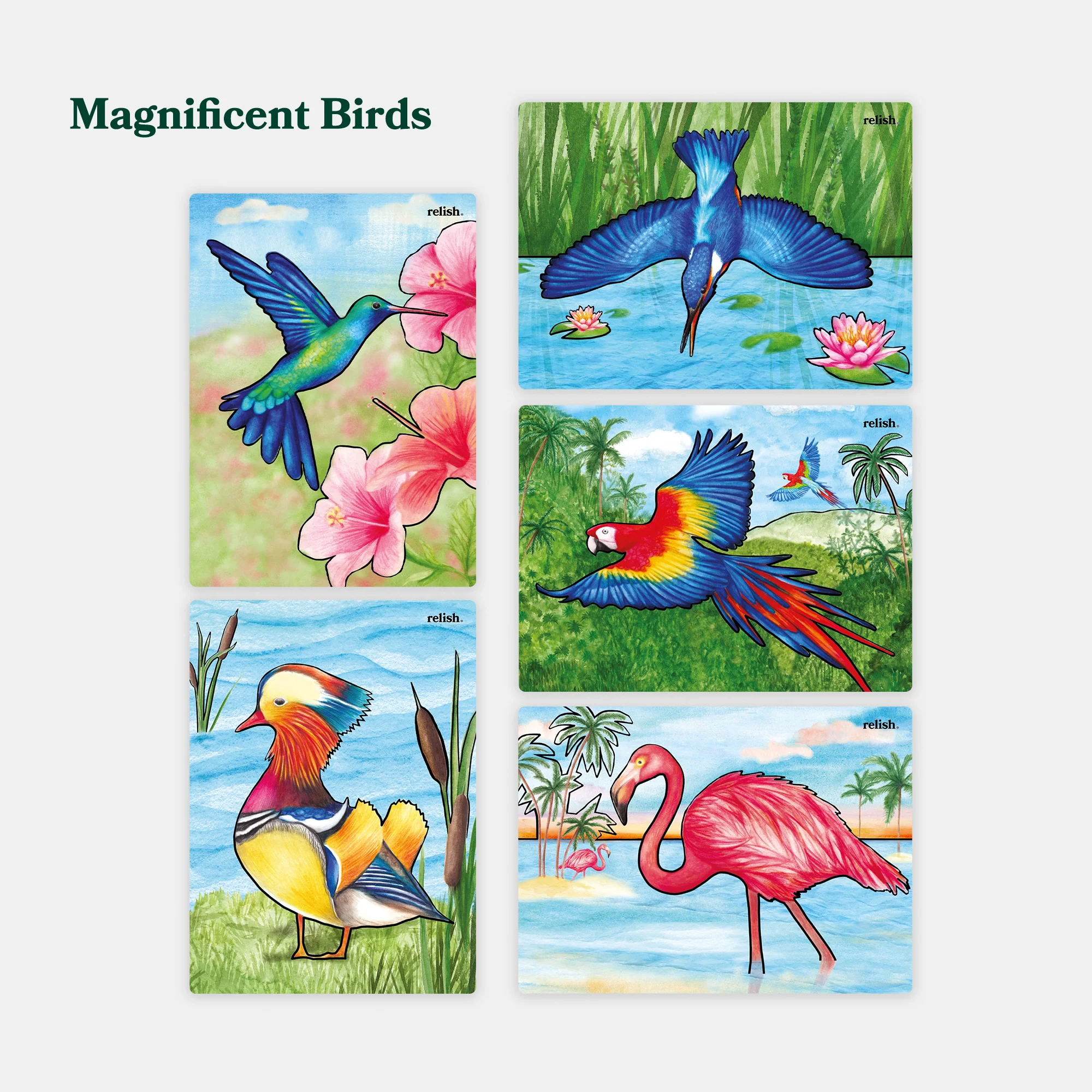 Aquapaint Pack - Image 3