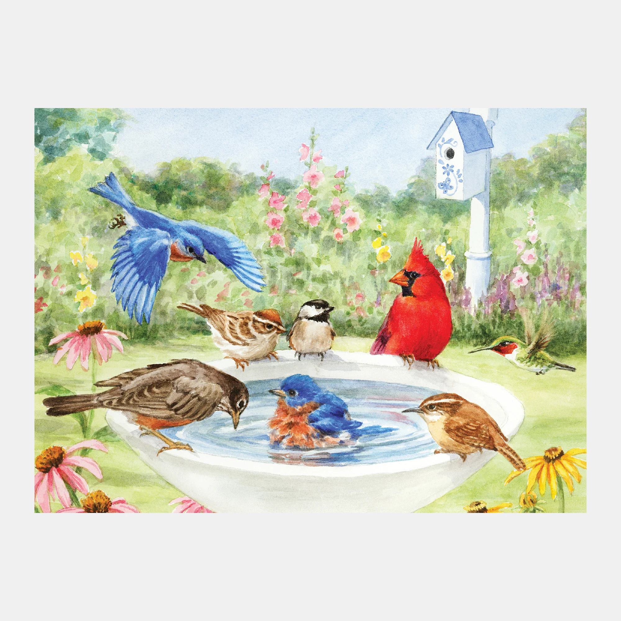 Bathing Birds - Image 10