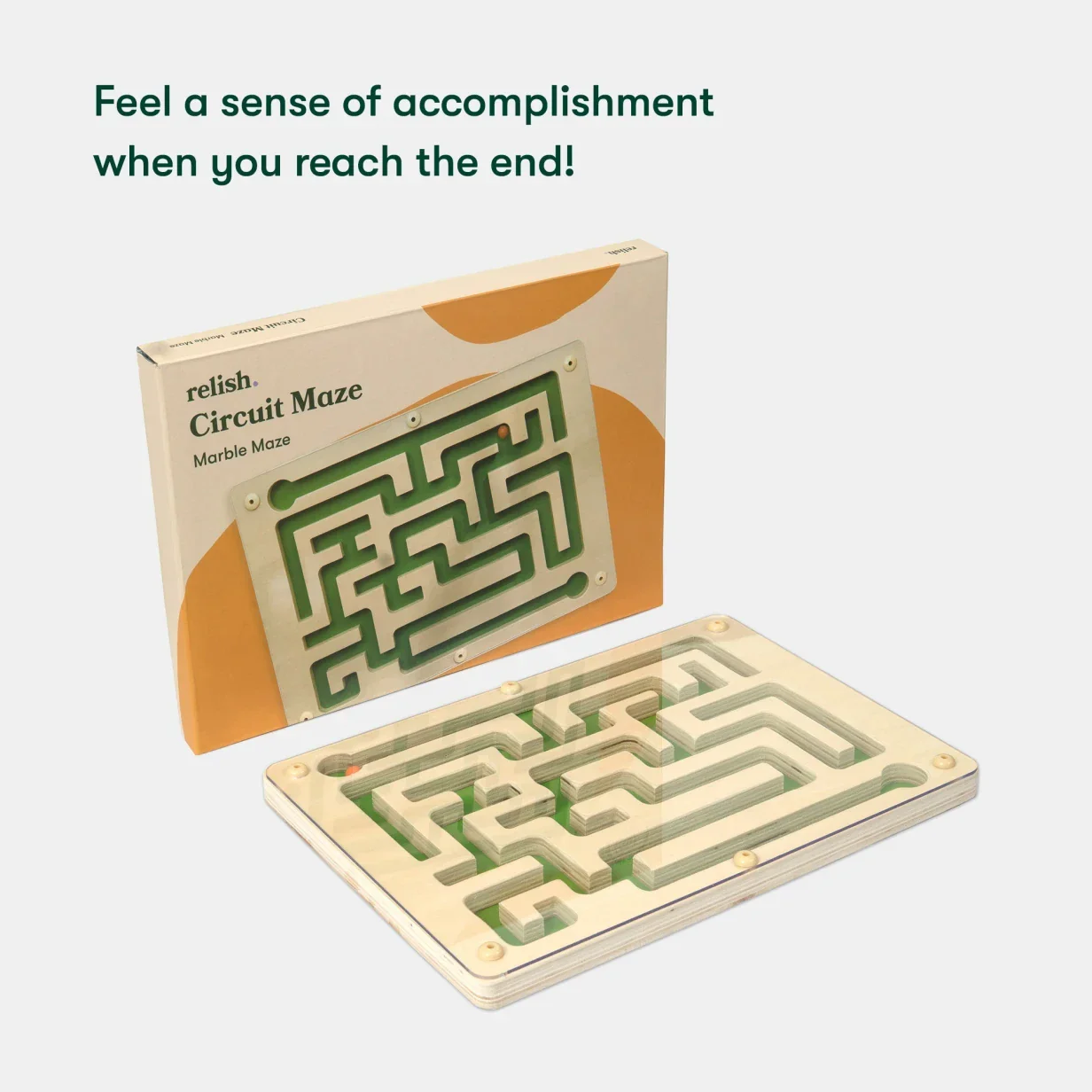Circuit Maze - Image 7