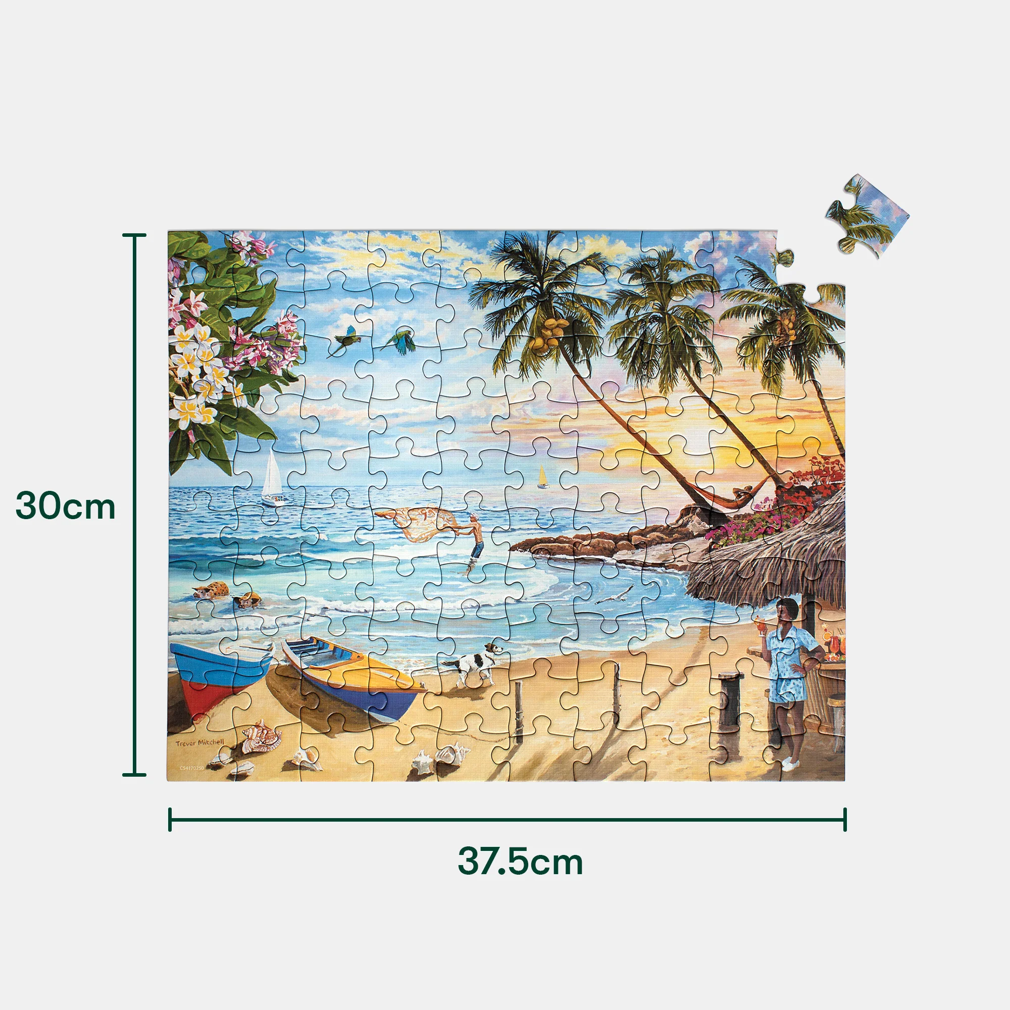 Beach Paradise - Image 11