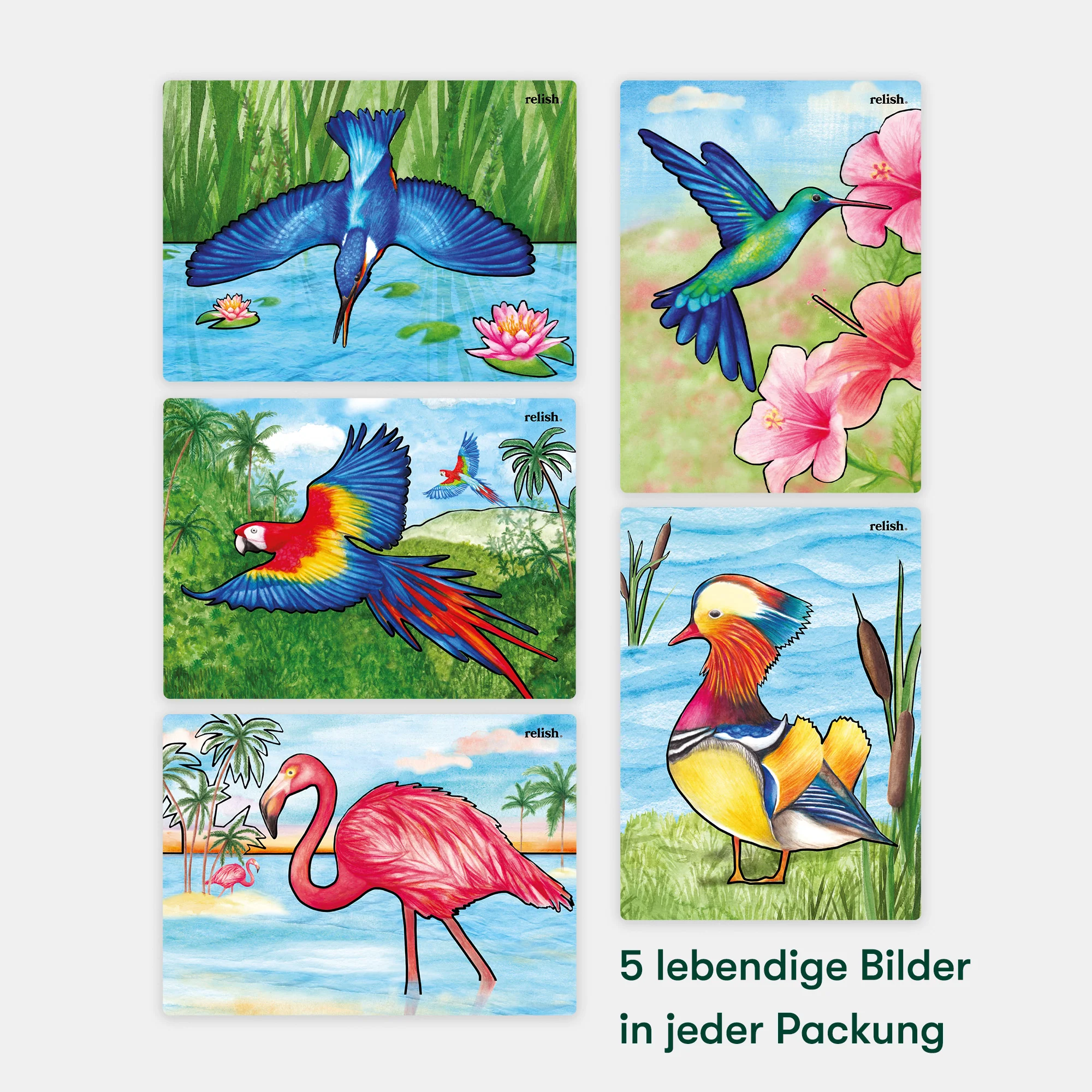 Magnificent Birds - Image 12