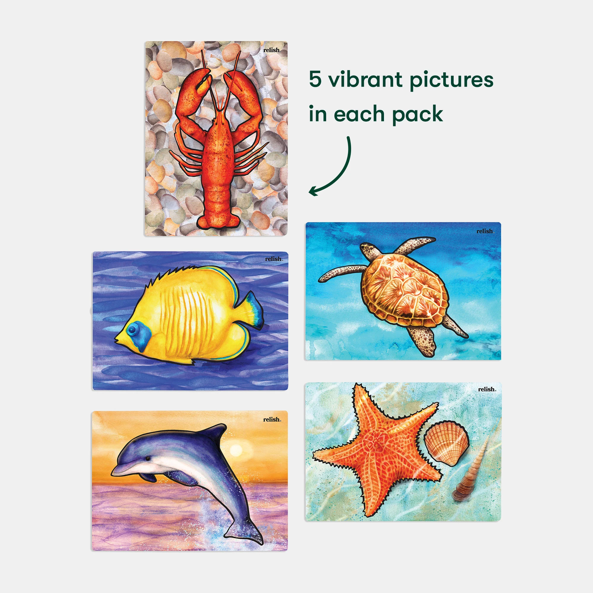 Ocean Life - Image 5
