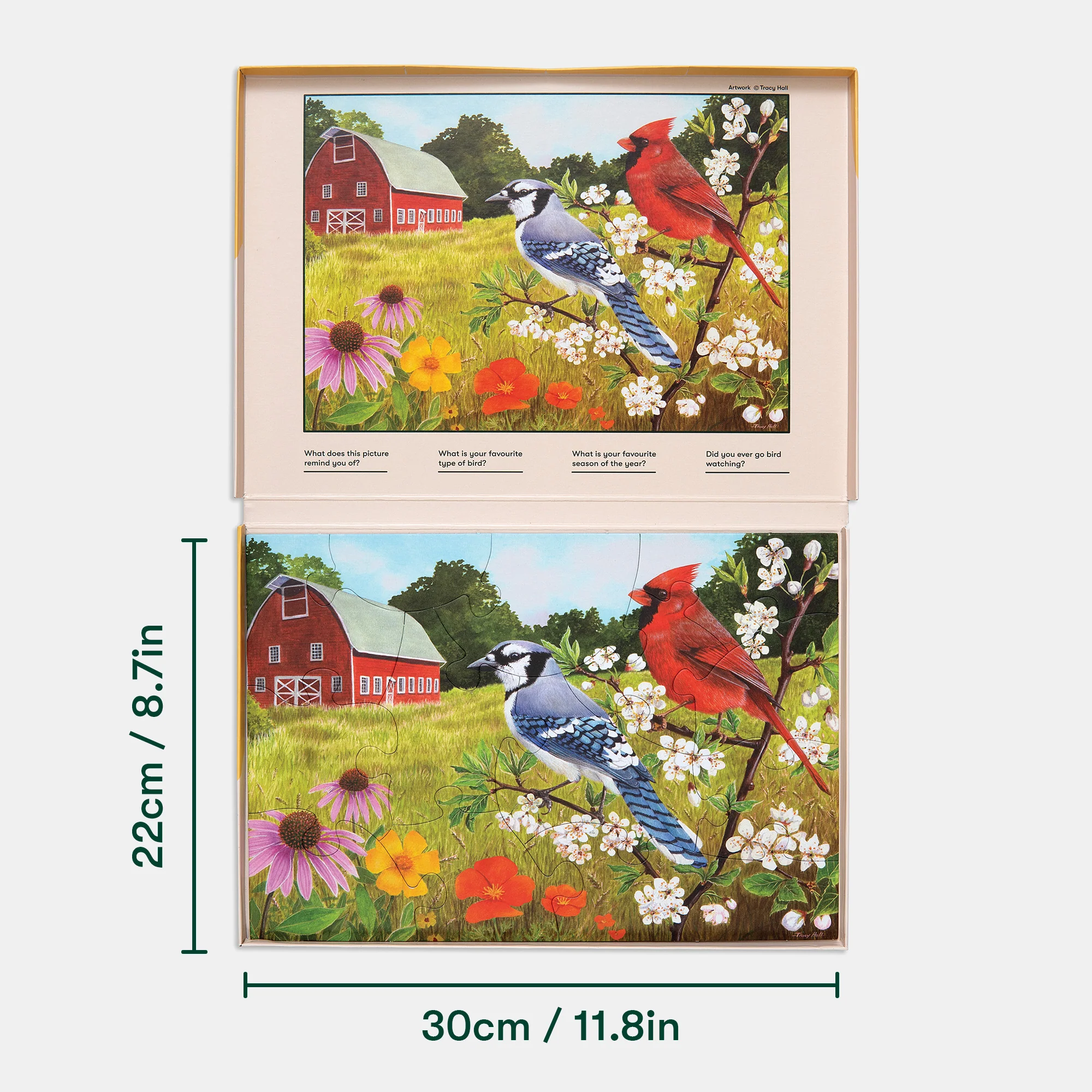 Summer Birds - Image 4