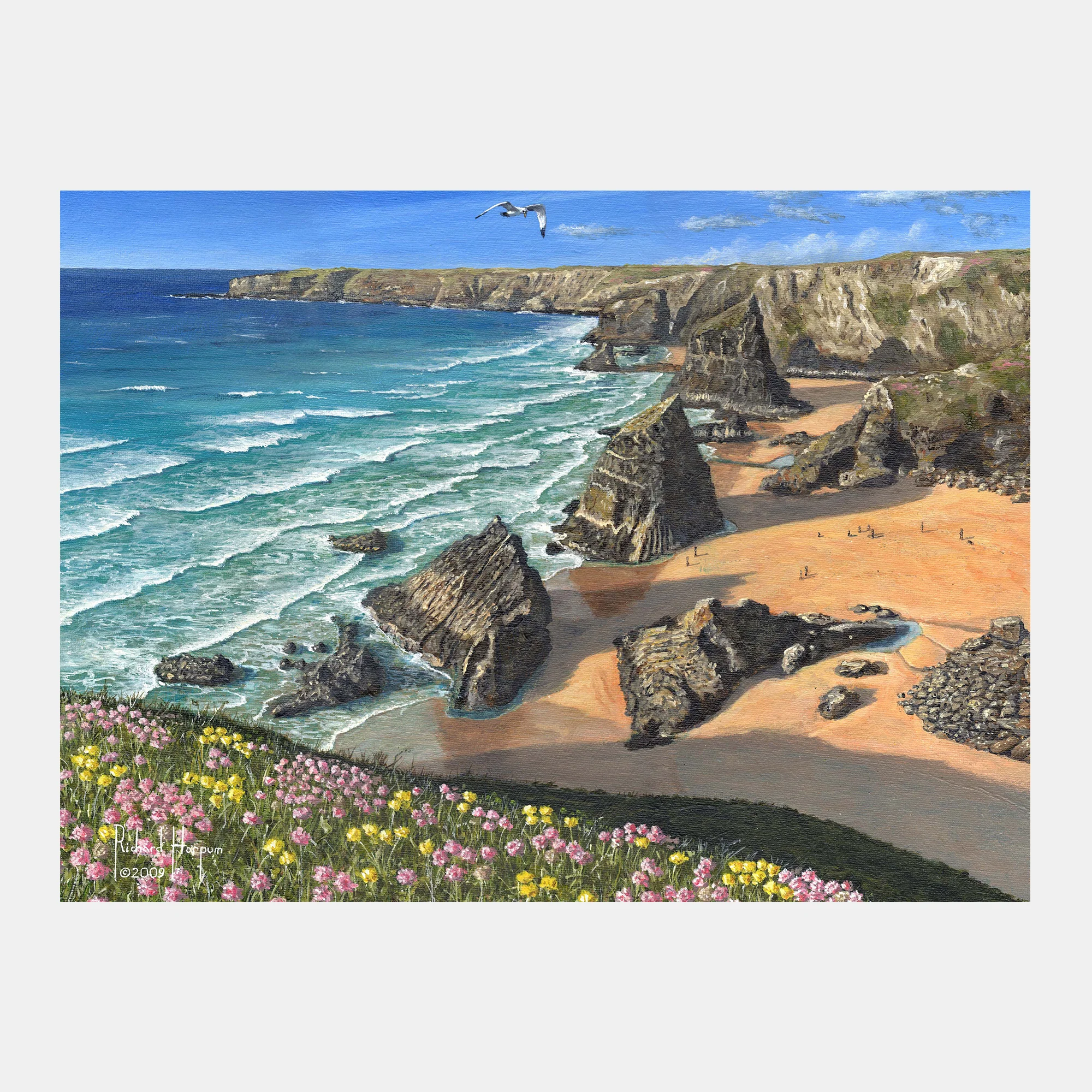 Cornwall's Wild Coast - Image 10