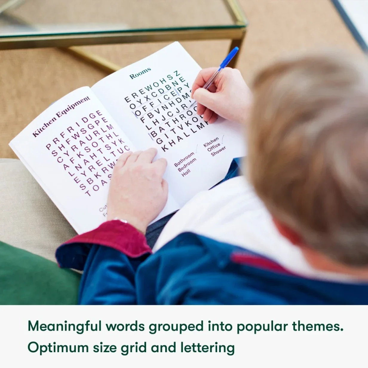 Dementia-Friendly Wordsearch Level 1 & 2 - Image 3